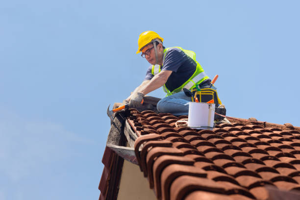 Best Green or Eco-Friendly Roofing Solutions  in Perezville, TX